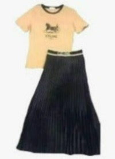 Chic Two Pieces Set Long Pleated Skirt & T-Shirt Set